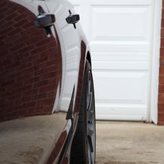 IMG 8390